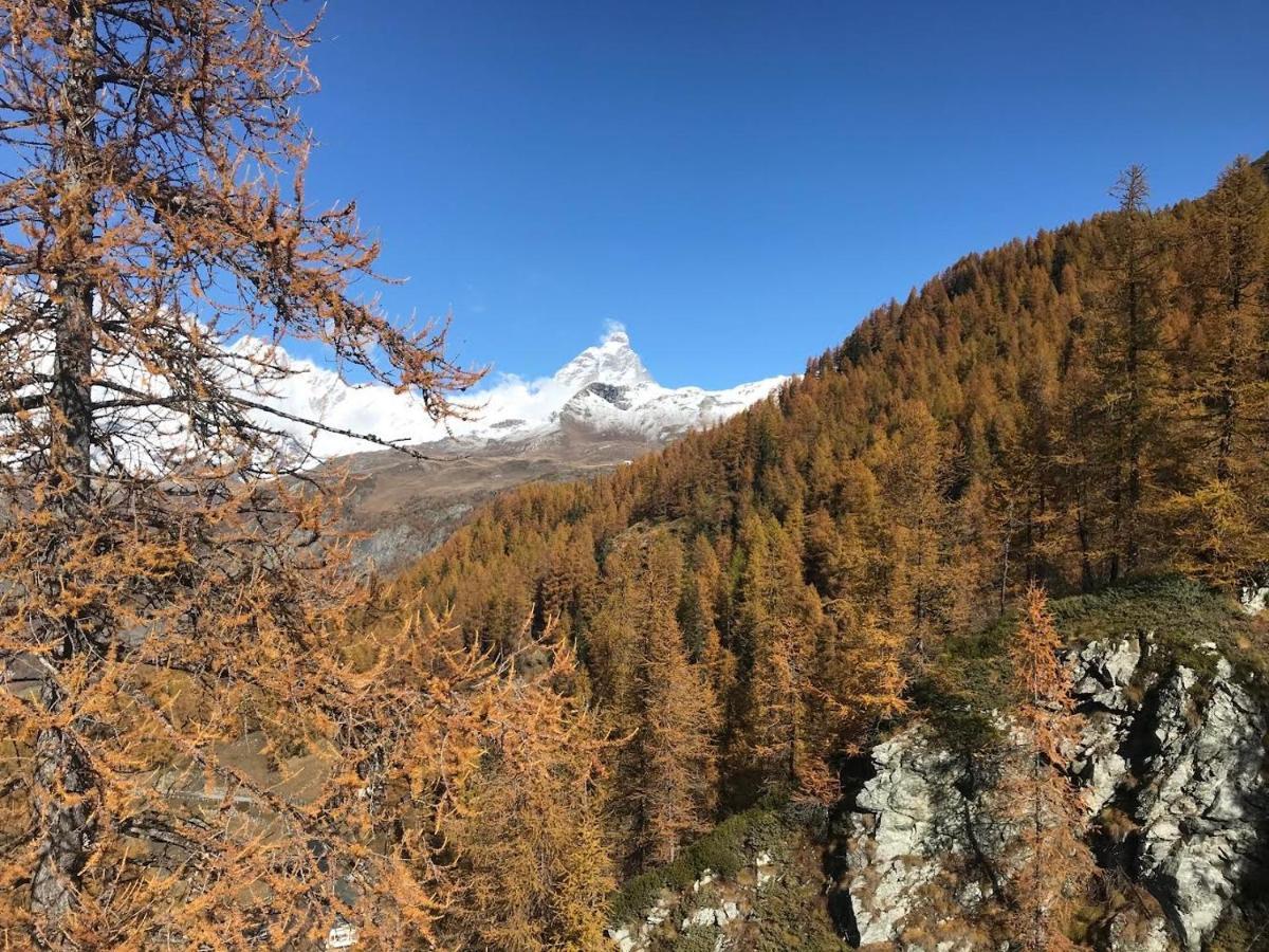 Appartamento Cervinia Fronte Funivie Breuil-Cervinia Εξωτερικό φωτογραφία